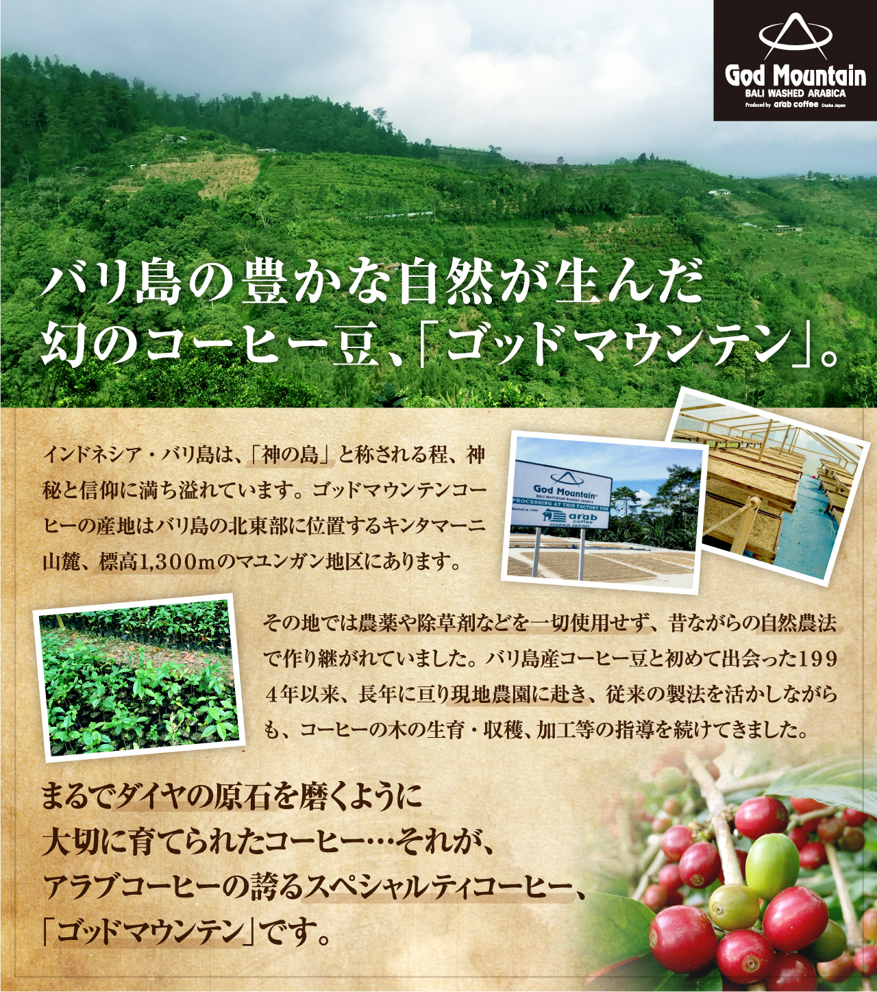 ゴッドマウンテン